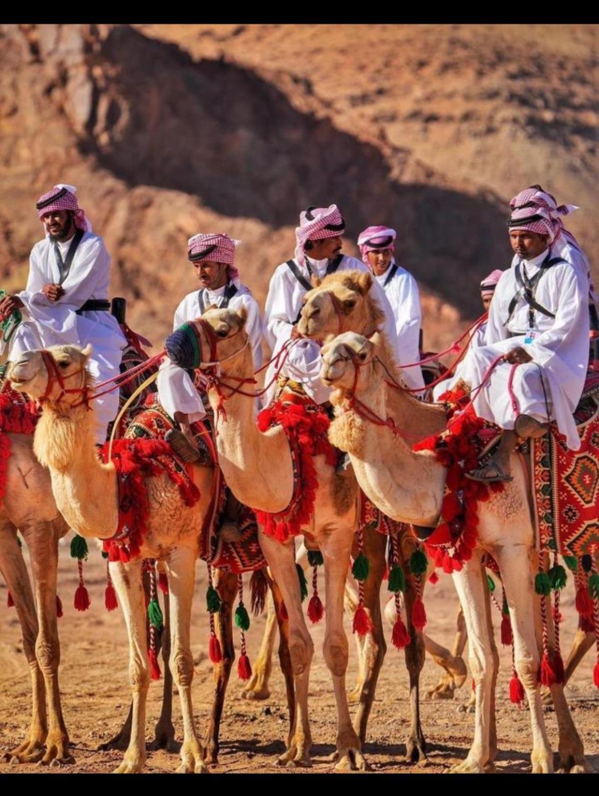 Mozoon Camp Wadi Rum Exterior foto